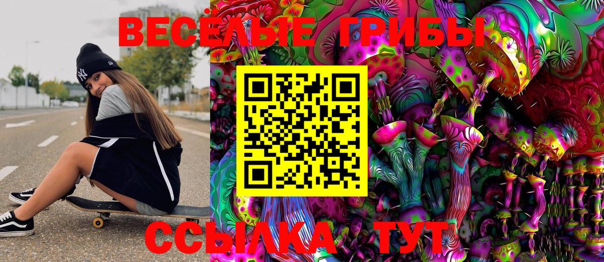 Псилоцибиновые грибы Psilocybe Тутаев