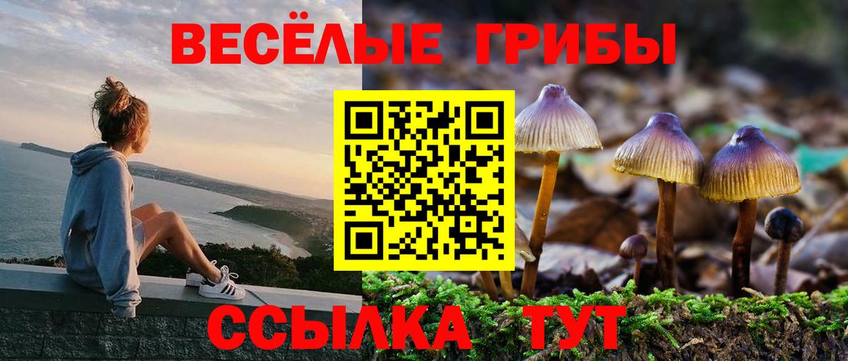 Псилоцибиновые грибы GOLDEN TEACHER  Галлюциногенные грибы Psilocybe  Тутаев  Вход с VPN 